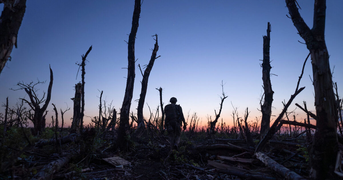 2000 metrů do Andrijivky: Recenze