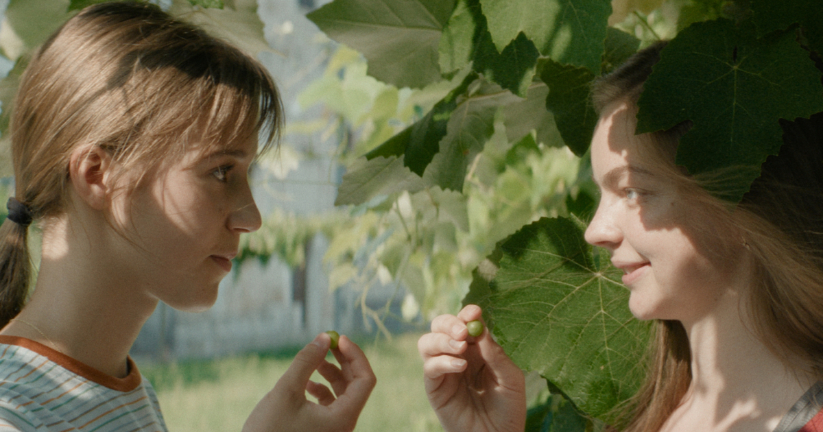 Co je ti, holka?: Recenze