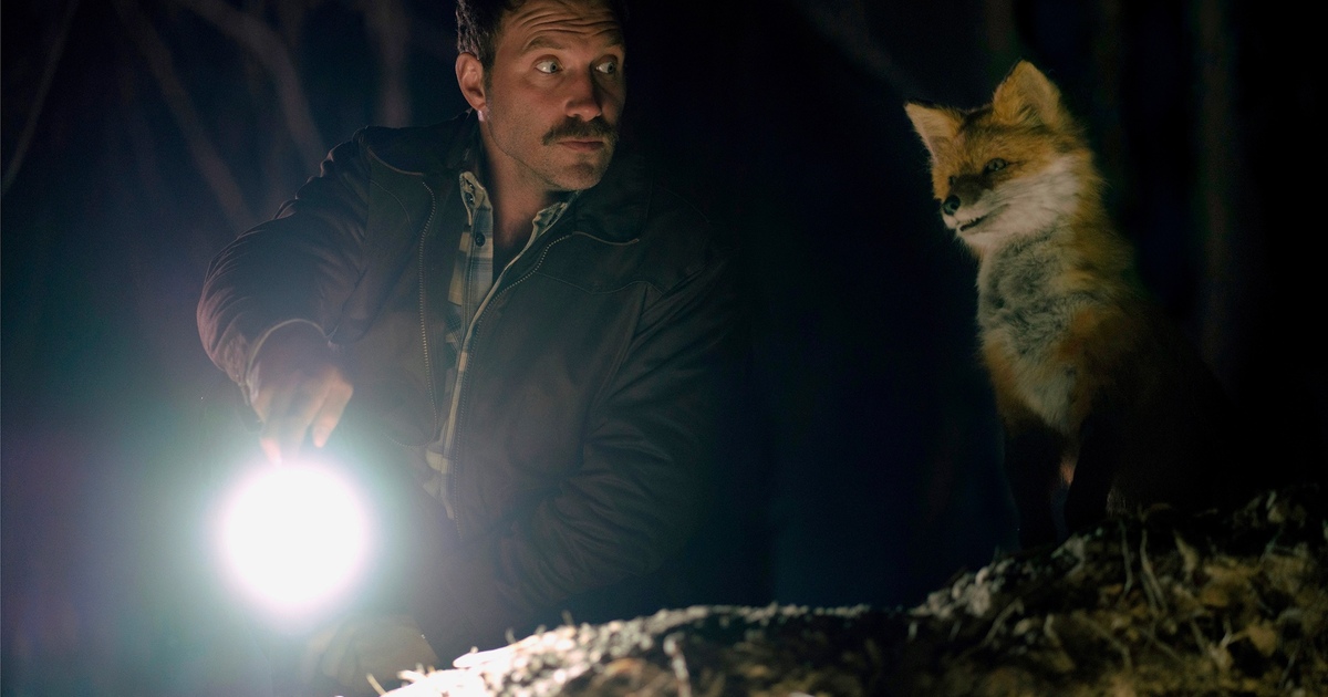 The Fox: Teaser
