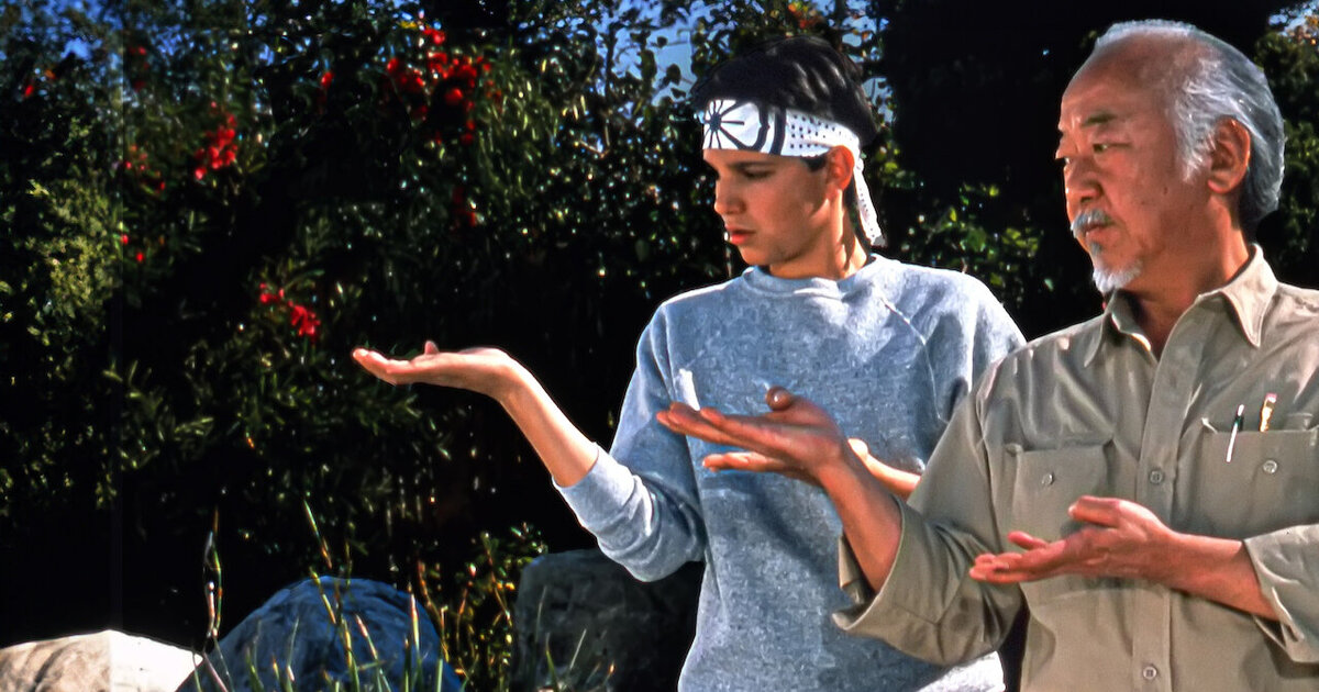 Karate Kid: V.I.M.