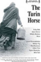 Turínský kůň