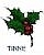 Tinne